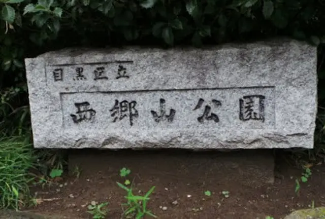 代官山で西海岸気分♪