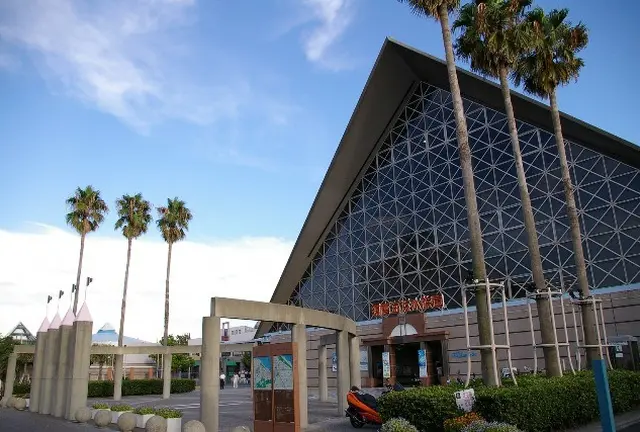 須磨は海水浴だけじゃない！須磨海浜水族園のウミガメに餌をあげよう！