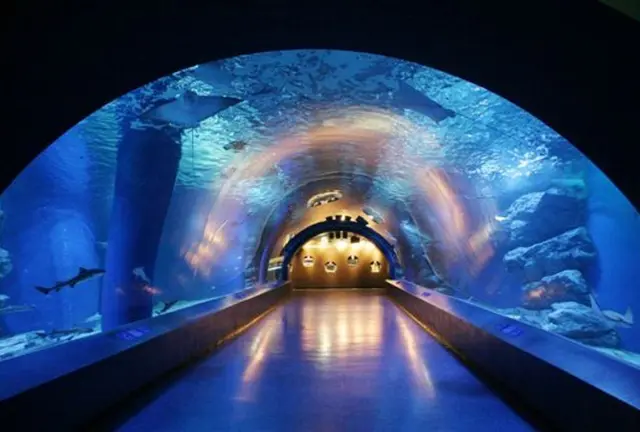 ”子供が主役”の超気軽な都心の本格水族館