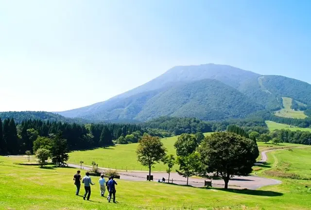 信州・信濃町　癒しの森