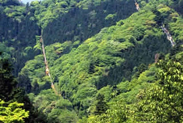 初心者ならまずは高尾山！