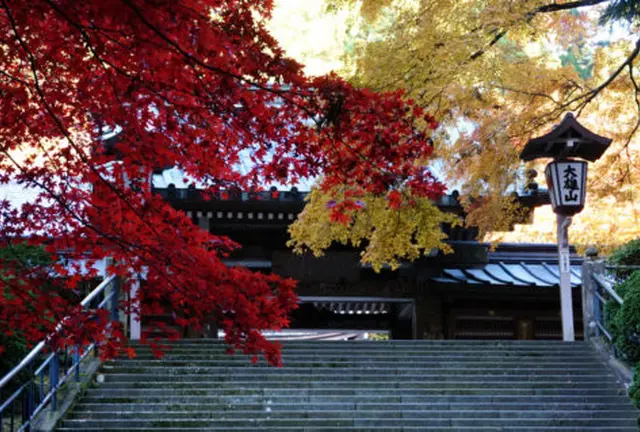 紅葉が見事な古刹「大雄山最乗寺」を中心にハイキングがてら巡る南足柄の名所