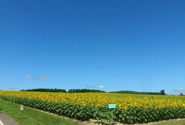 旭川から日帰り可能！夏を感じる