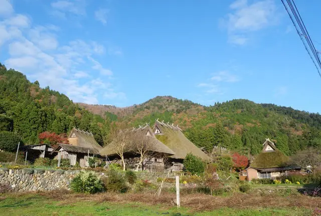 【京都】大人な京都グルメ食べ尽くし旅🦌