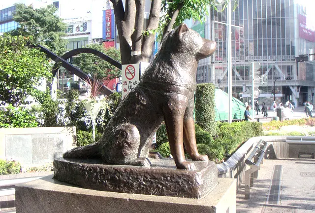 東京好きなとこ(仮)