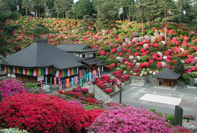 日帰り奥多摩自然満喫の旅