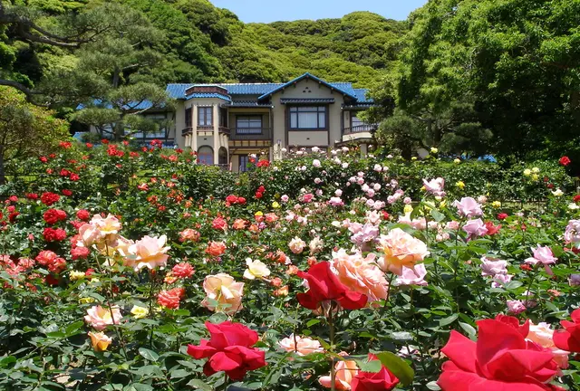 本当は教えたくない！鎌倉のお気に入り5選