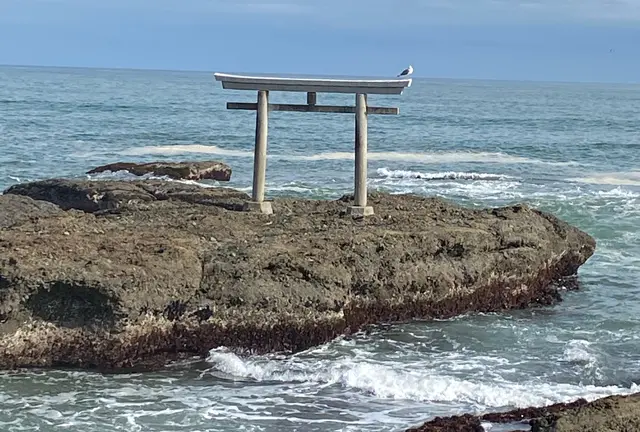 偕楽園とアンコウ日帰りツアー