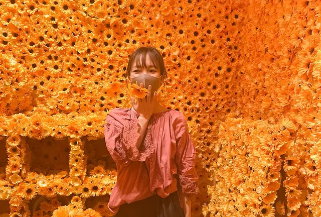 神楽坂さんぽ ＋ 美術館