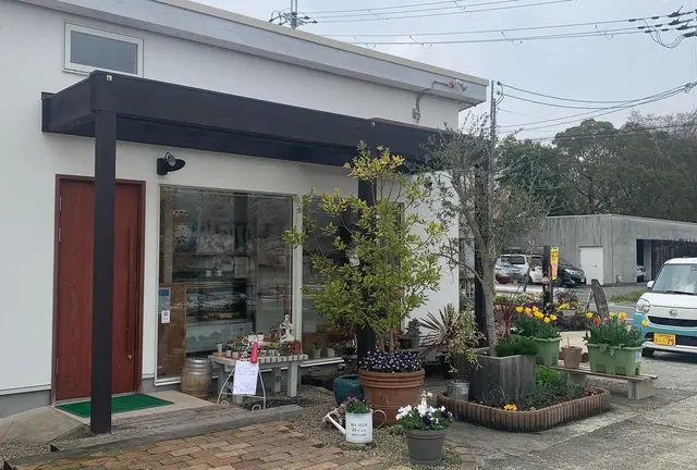 ランチがてらお花見🌸