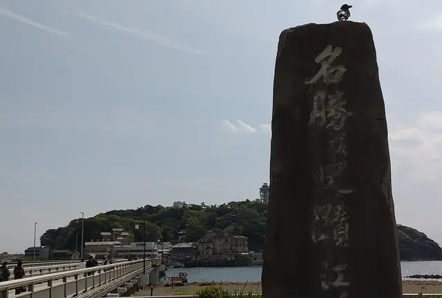 お得に江ノ島満喫プラン