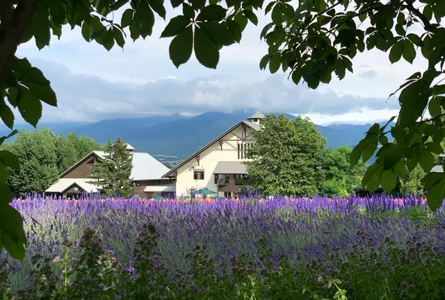【1泊2日】星が綺麗なキャンプ場に泊まる🏕ラベンダーの町・富良野へ