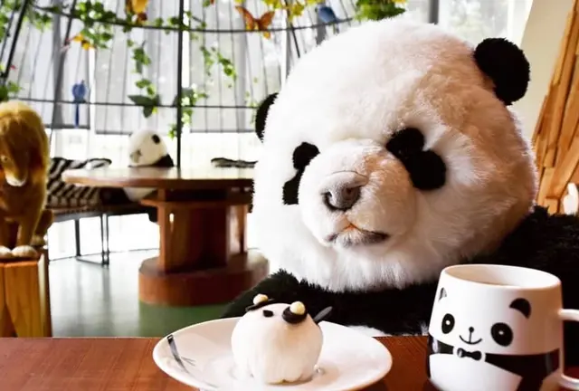 《台湾•台北編》可愛いパンダに癒されよう🐼CAと巡る台北１泊２日旅！