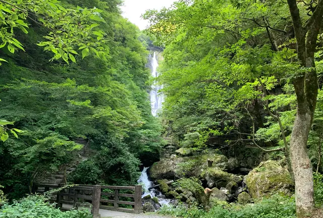 【岡山県】高梁・新見・真庭を満喫する1泊2日ドライブ旅🚗✨！