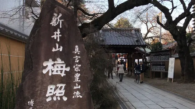 【新井薬師】初詣さんぽ🍘