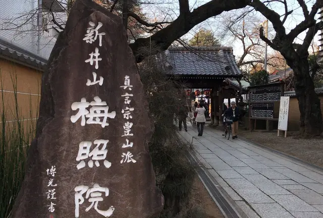 【新井薬師】初詣さんぽ🍘