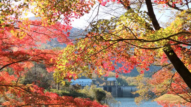 【京都・美山】美山の秋色を求めて