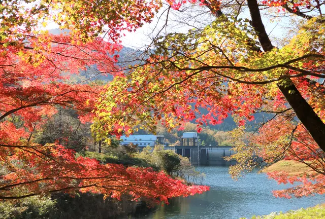 【京都・美山】美山の秋色を求めて