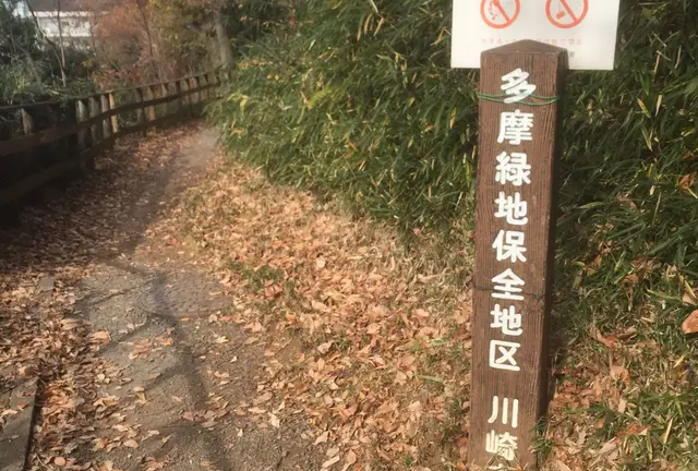 よみうりランド里山散歩 中華と日帰り温泉でまったり