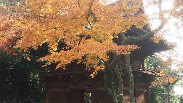 市川駅から真間山まで歴史を感じるお散歩