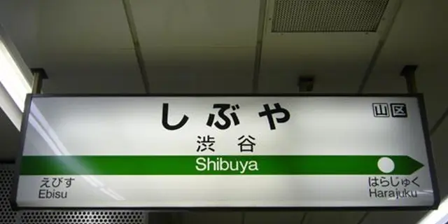 シティーボーイ&ガールに向けた妄想膨らむ理想の代々木公園デート👫❣