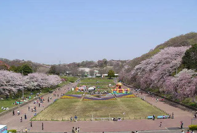 神奈川県で子連れで遊ぶとこ