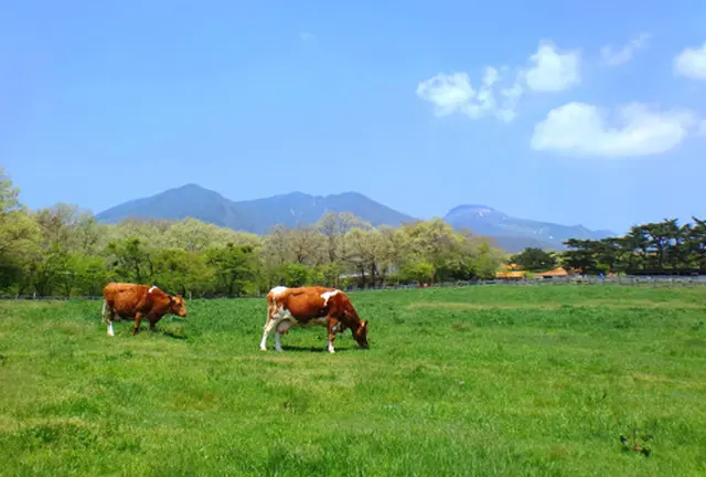 【那須】自然•動物ふれあいの旅(1泊2日)★行程あり★