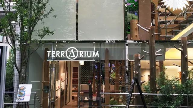 クリスマス🎄綺麗になれる表参道の無料美容スポット☺︎