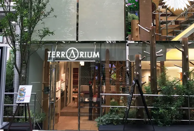 クリスマス🎄綺麗になれる表参道の無料美容スポット☺︎