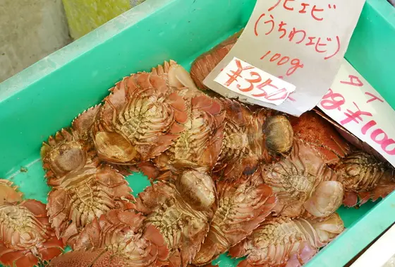 をいをいこんなん見たこと無い