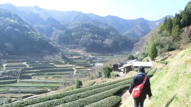 家族で楽しむ非日常体験(高千穂町)
