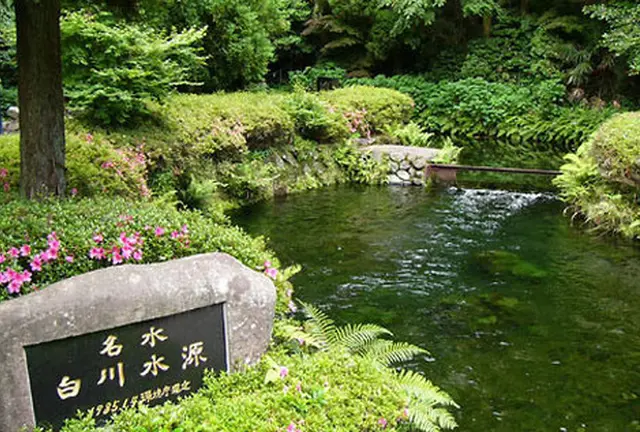 日本一の名水で和紙漉き体験! 動画紹介中♪