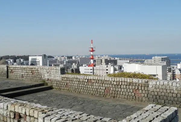中央公園の写真・動画_image_68129