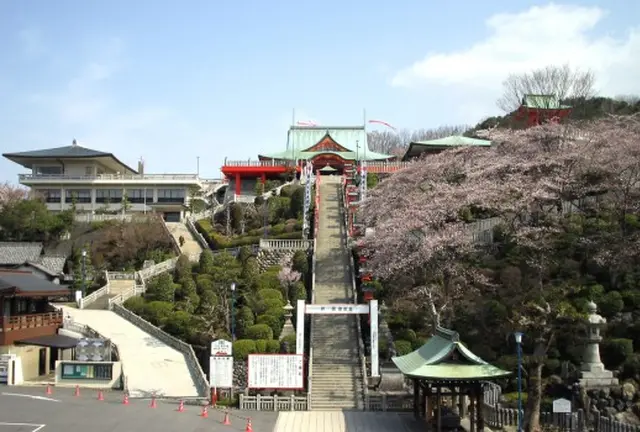 桜🌸の⛩成田山⛰と🍡成田参道食べ歩き🍘