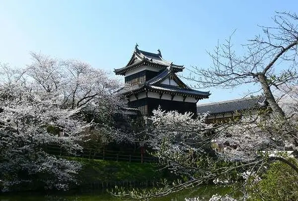 郡山城跡