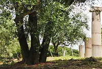 牛窓オリーブ園の写真・動画_image_133292