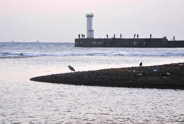 海にやって来ました