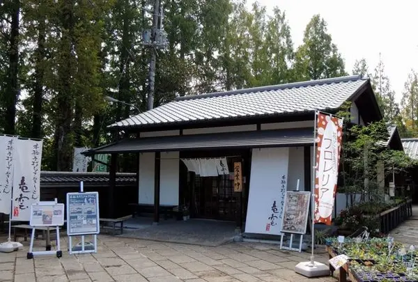 竜雲 りゅううん