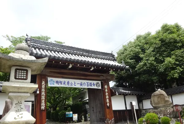 西教寺の写真・動画_image_361050