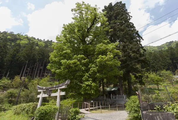 稲荷神社