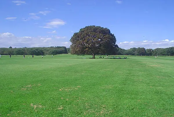 国営昭和記念公園