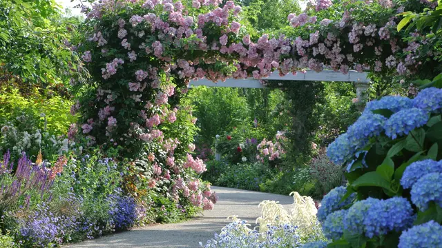 【見附市】癒しのみつけ一日旅プラン