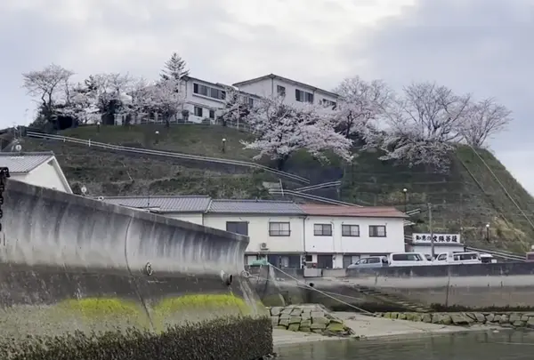 向島