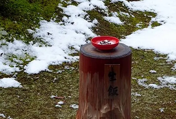 東林院の写真・動画_image_252893