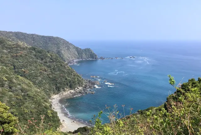 高知西部と愛媛南部が沖縄？