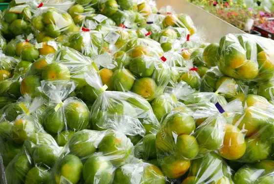 相変わらずみかん類は豊富