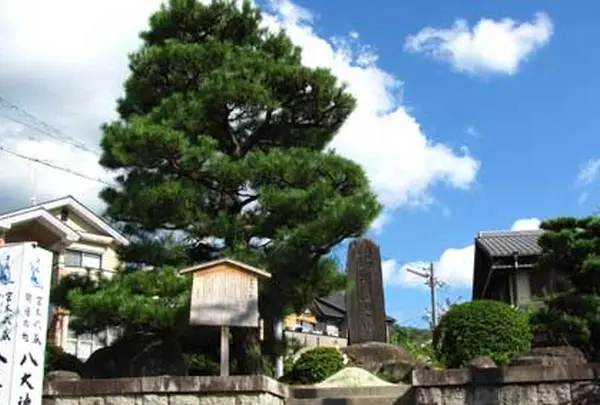 武蔵VS吉岡一門「一乗寺下り松」