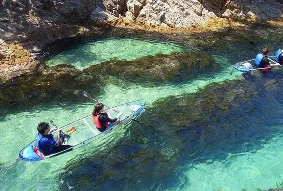 透明度の高い海でクリアカヤック体験