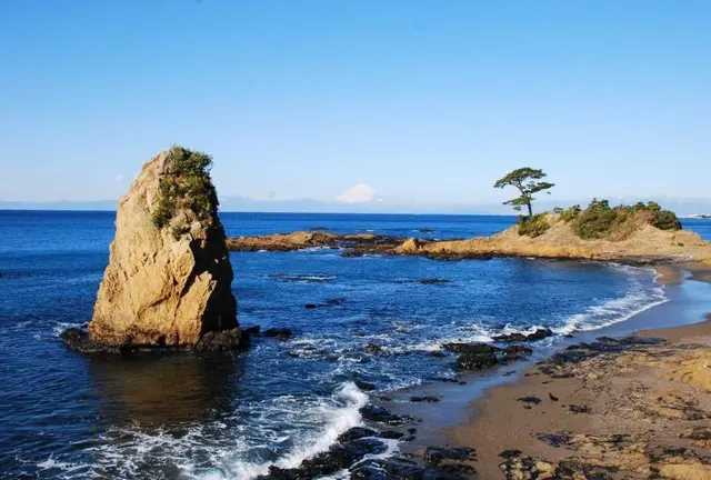 葉山の海を巡る🌊🐚