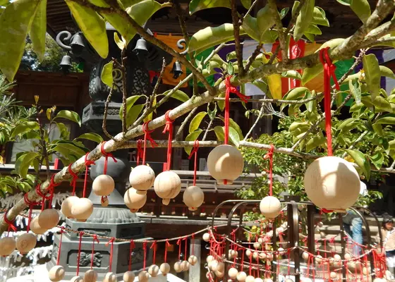 願いをかなえる「龍玉」